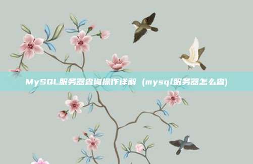 MySQL服务器查询操作详解 (mysql服务器怎么查)