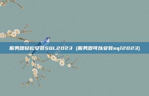 服务器轻松安装SQL2023 (服务器可以安装sql2023)