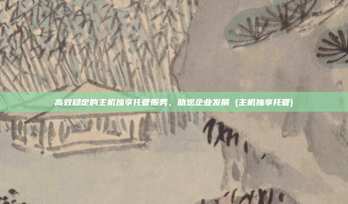 高效稳定的主机独享托管服务，助您企业发展 (主机独享托管)