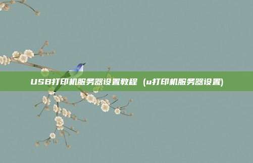 USB打印机服务器设置教程 (u打印机服务器设置)