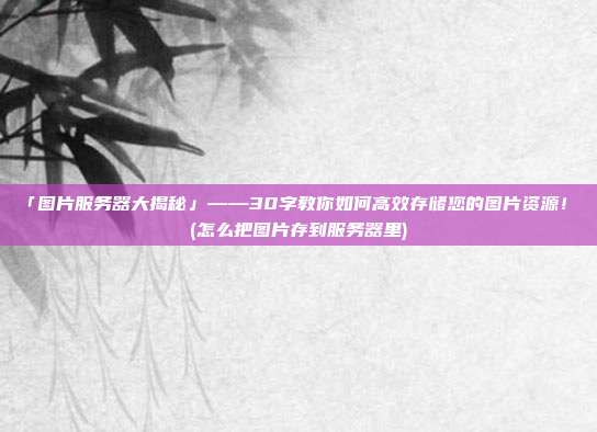 「图片服务器大揭秘」——30字教你如何高效存储您的图片资源！ (怎么把图片存到服务器里)