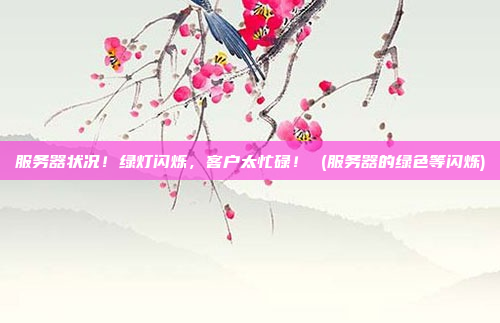 服务器状况！绿灯闪烁，客户太忙碌！ (服务器的绿色等闪烁)
