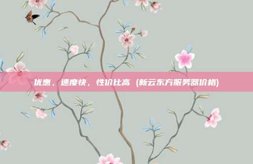 优惠，速度快，性价比高 (新云东方服务器价格)