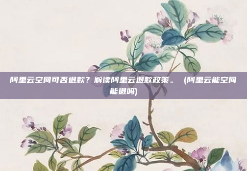 阿里云空间可否退款?解读阿里云退款政策。 (阿里云能空间能退吗)