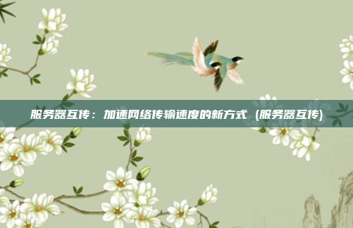 服务器互传:加速网络传输速度的新方式 (服务器互传)