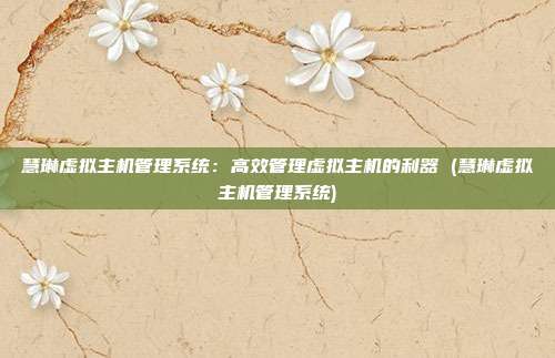 慧琳虚拟主机管理系统:高效管理虚拟主机的利器 (慧琳虚拟主机管理系统)