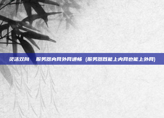 灵活双向 服务器内网外网通畅 (服务器既能上内网也能上外网)