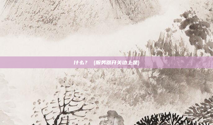什么? (服务器开关边上是)