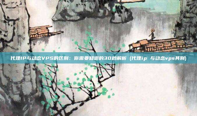 代理IP与动态VPS的区别:你需要知道的30秒解析 (代理ip 与动态vps其别)
