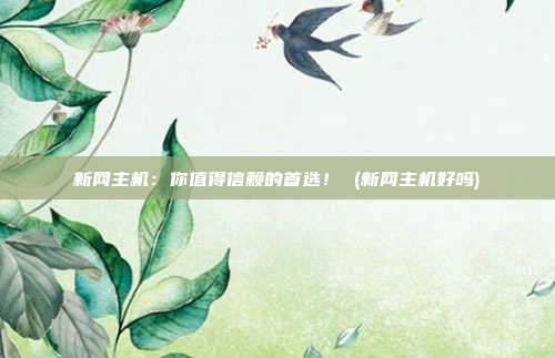 新网主机:你值得信赖的首选! (新网主机好吗)