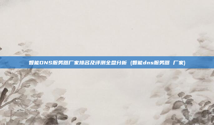 智能DNS服务器厂家排名及评测全盘分析 (智能dns服务器 厂家)