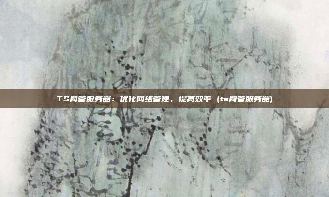 TS网管服务器：优化网络管理，提高效率 (ts网管服务器)