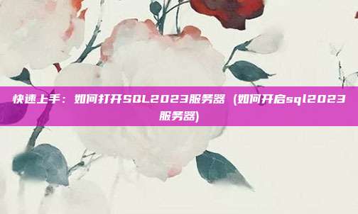 快速上手：如何打开SQL2023服务器 (如何开启sql2023服务器)