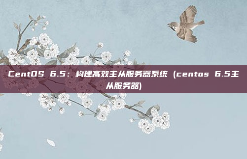 CentOS 6.5：构建高效主从服务器系统 (centos 6.5主从服务器)