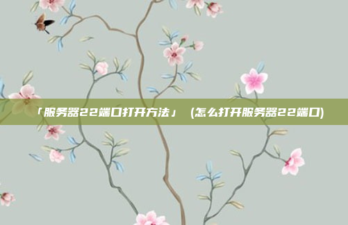 「服务器22端口打开方法」 (怎么打开服务器22端口)