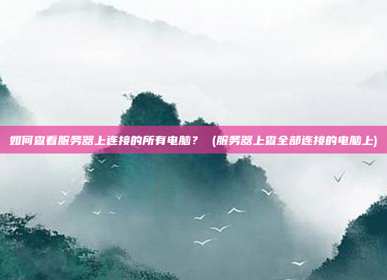 如何查看服务器上连接的所有电脑？ (服务器上查全部连接的电脑上)