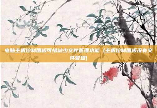 电脑主机控制面板可惜缺少文件管理功能 (主机控制面板没有文件管理)