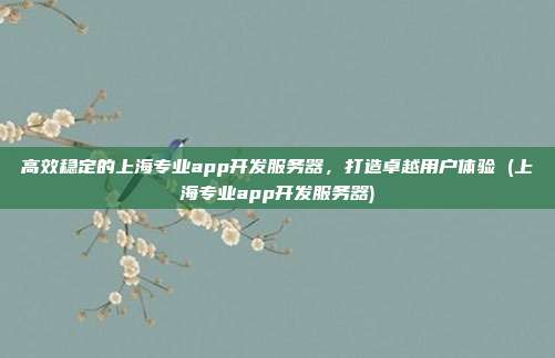 高效稳定的上海专业app开发服务器，打造卓越用户体验 (上海专业app开发服务器)