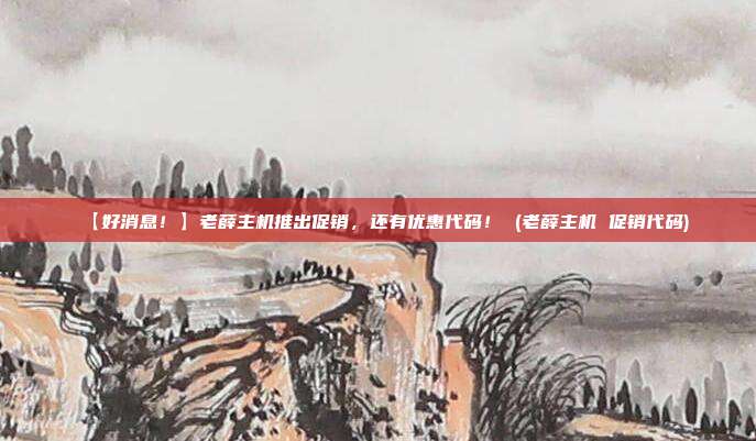【好消息！】老薛主机推出促销，还有优惠代码！ (老薛主机 促销代码)