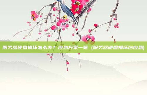 服务器硬盘损坏怎么办?应急方案一览 (服务器硬盘损坏后应急)