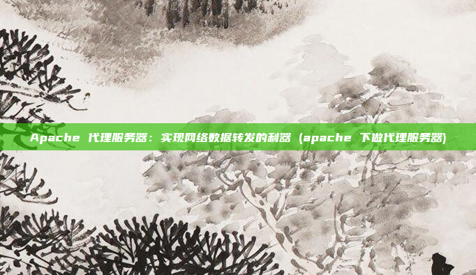 Apache 代理服务器：实现网络数据转发的利器 (apache 下做代理服务器)