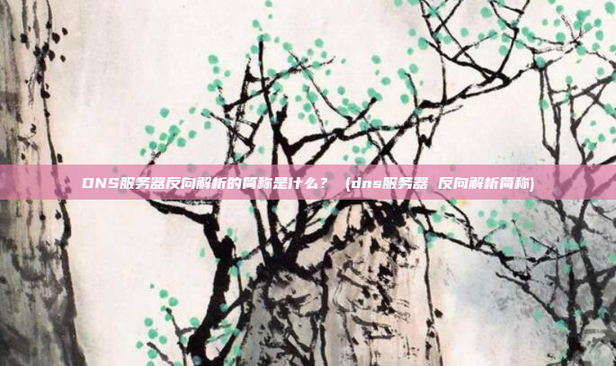 DNS服务器反向解析的简称是什么？ (dns服务器 反向解析简称)