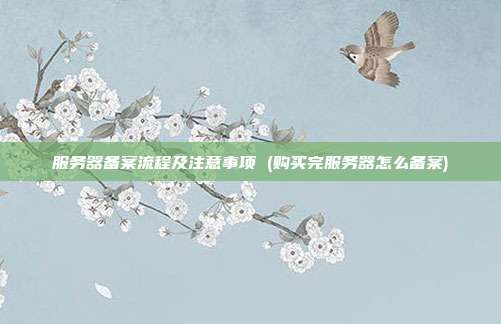 服务器备案流程及注意事项 (购买完服务器怎么备案)