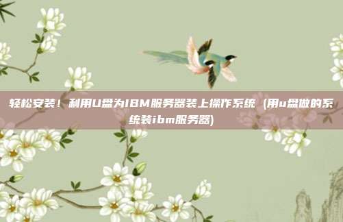 轻松安装!利用U盘为IBM服务器装上操作系统 (用u盘做的系统装ibm服务器)