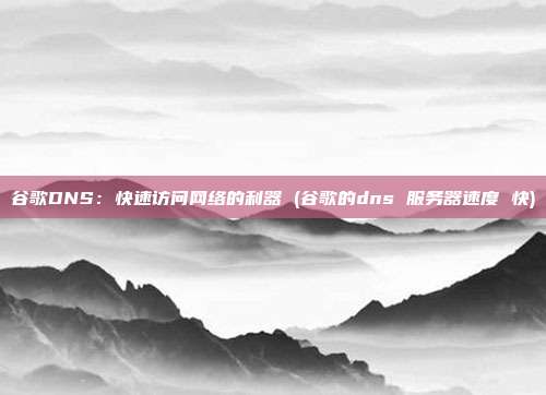 谷歌DNS:快速访问网络的利器 (谷歌的dns 服务器速度 快)