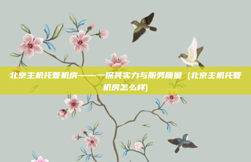 北京主机托管机房——一探其实力与服务质量 (北京主机托管机房怎么样)