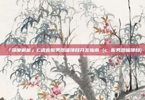 「深度解析」C语言服务器端项目开发指南 (c 服务器端项目)