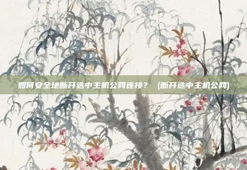 如何安全地断开选中主机公网连接? (断开选中主机公网)