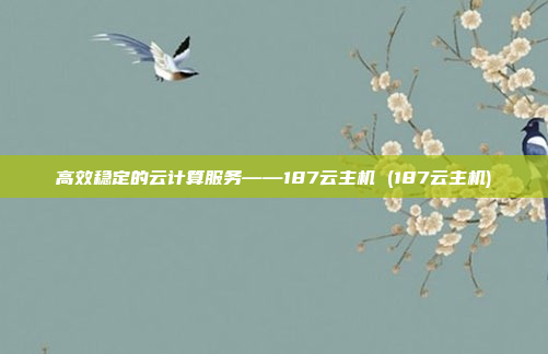 高效稳定的云计算服务——187云主机 (187云主机)