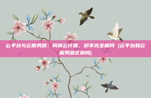 云平台与云服务器:同属云计算,却不完全相同 (云平台和云服务器区别吗)