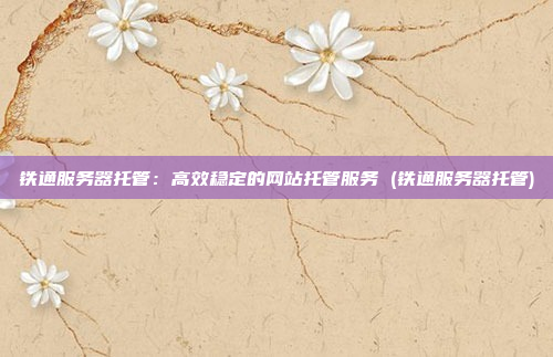 铁通服务器托管:高效稳定的网站托管服务 (铁通服务器托管)