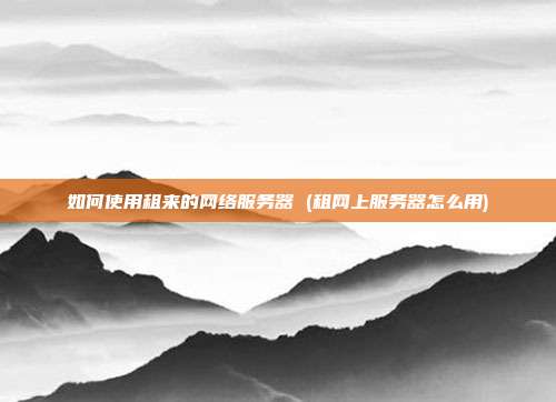 如何使用租来的网络服务器 (租网上服务器怎么用)