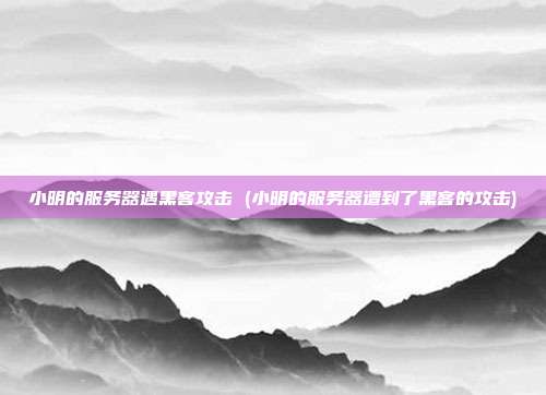 小明的服务器遇黑客攻击 (小明的服务器遭到了黑客的攻击)
