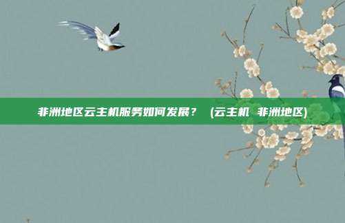 非洲地区云主机服务如何发展? (云主机 非洲地区)
