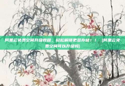 阿里云免费空间升级教程,轻松解锁更多存储!! (阿里云免费空间可以升级吗)