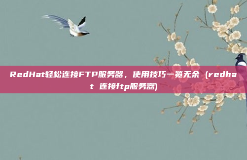 RedHat轻松连接FTP服务器，使用技巧一览无余 (redhat 连接ftp服务器)