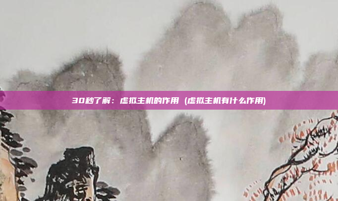 30秒了解:虚拟主机的作用 (虚拟主机有什么作用)