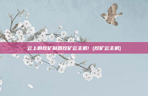 云上的挖矿利器挖矿云主机! (挖矿云主机)