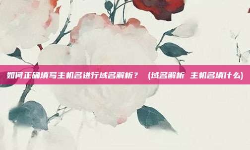 如何正确填写主机名进行域名解析? (域名解析 主机名填什么)