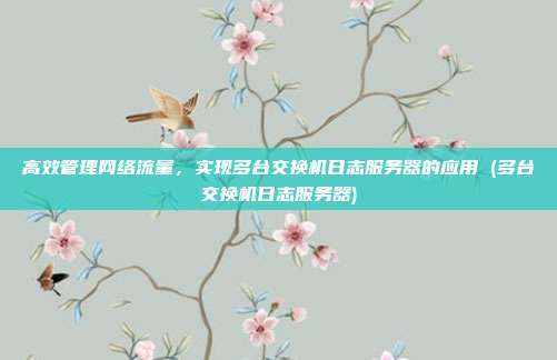 高效管理网络流量,实现多台交换机日志服务器的应用 (多台交换机日志服务器)