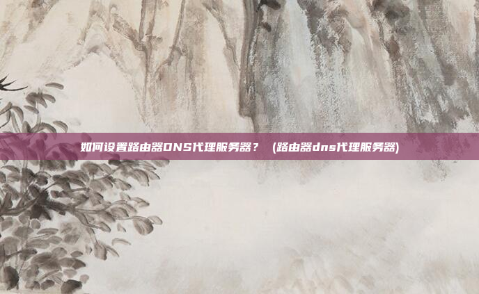 如何设置路由器DNS代理服务器? (路由器dns代理服务器)