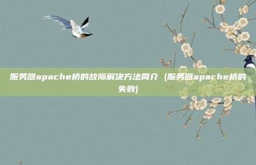 服务器apache桥的故障解决方法简介 (服务器apache桥的失败)