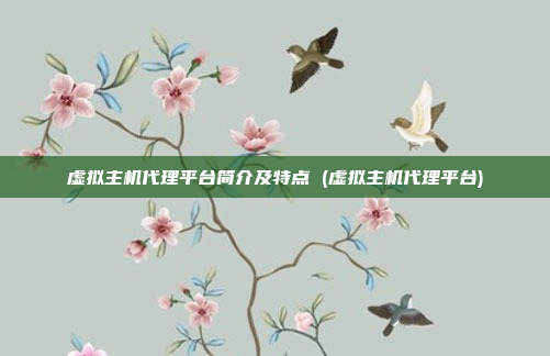 虚拟主机代理平台简介及特点 (虚拟主机代理平台)