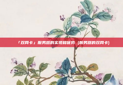 「双网卡」服务器的实现和优势 (服务器的双网卡)