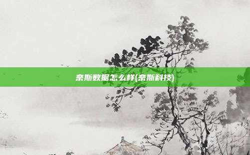 奈斯数据怎么样(奈斯科技)