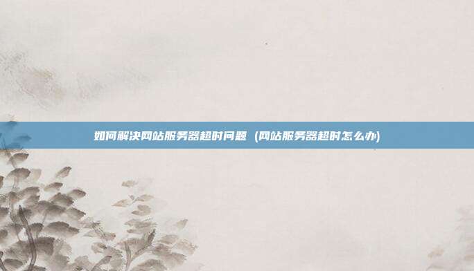 如何解决网站服务器超时问题 (网站服务器超时怎么办)